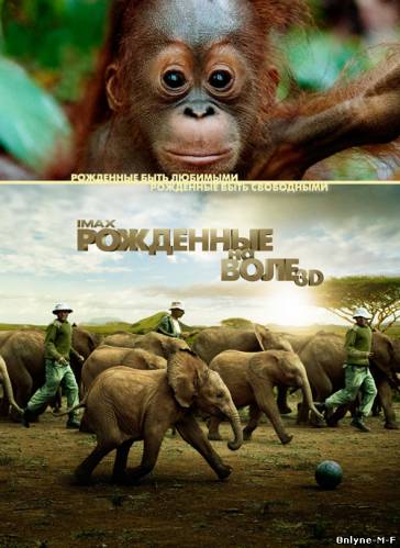 Смотреть онлайн Рожденные на воле / Born to Be Wild (2011)